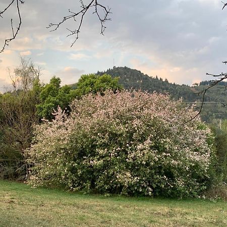 Laragh-On-Hogsback Villa ภายนอก รูปภาพ